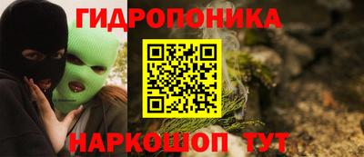 прущие грибы Будённовск